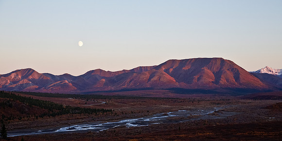 Fall in Denali National Park