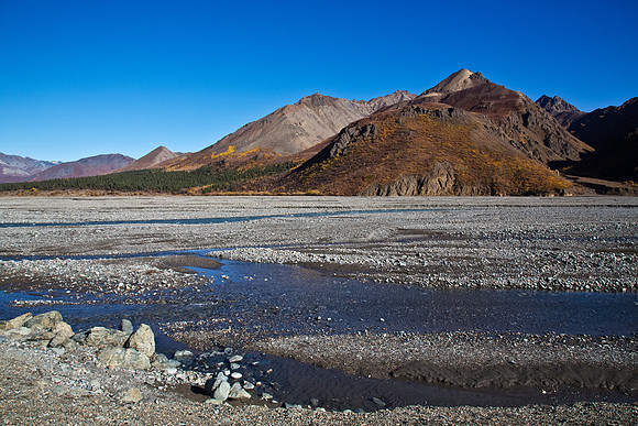 Denali's Toklat River
