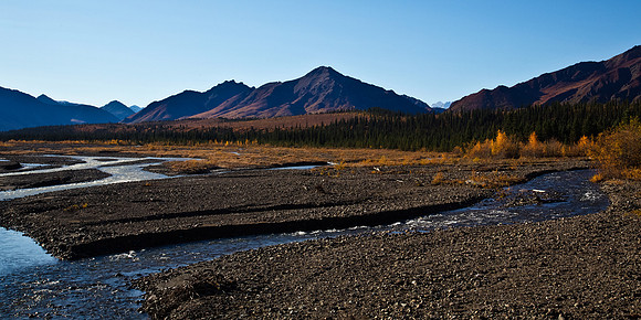 The Teklanika River in Autumn
