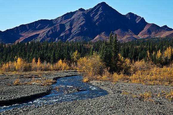 Denali National Park in Autumn