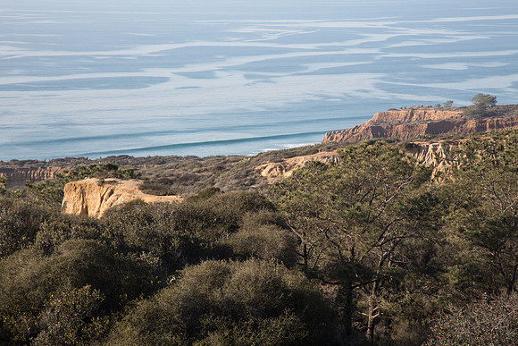California's Torrey Pines