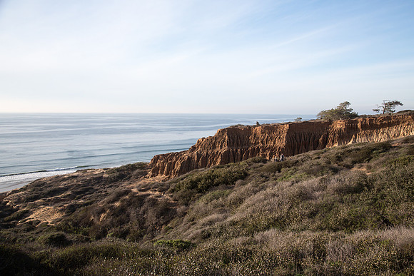 California's Torrey Pines State Natural Reserve
