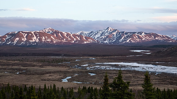 Alaska's Denali National Park