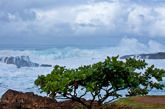 Waves Crash over Shark's Cove on Hawai'i's island of O'ahu