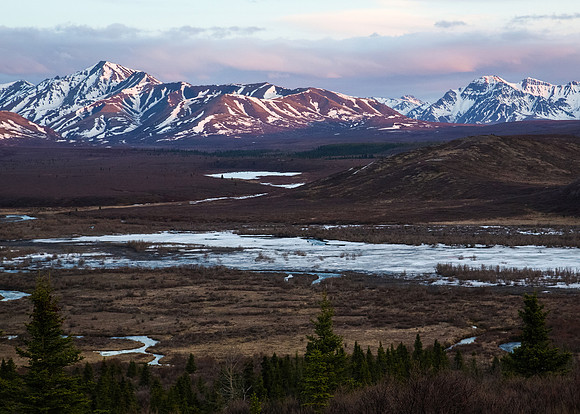 Alaska's Denali National Park