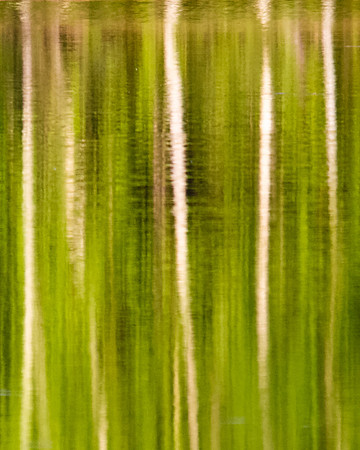 Wilderness Abstraction