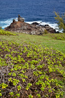 The coast of the Hawaiian island of Maui