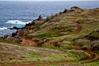 Trail to Maui's Coast